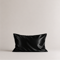 Pure Silk Pillow Case Black