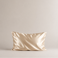 Pure Silk Pillow Case Champagne